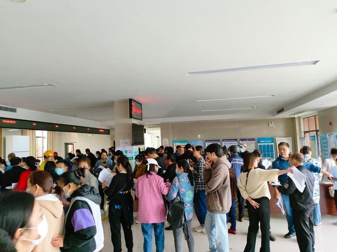 离职公积金提取协助：老员工踩过坑的经验分享，省心省钱不求人